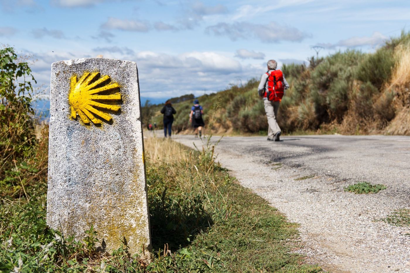 Camino walker with the yellow scallop shell to Santiago de Compostela.jpg